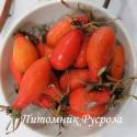 Шиповник плодовый "Vitaminrose" (Piro 3) (Витаминроуз)