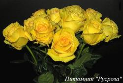 DEJA VU (Дежавю)