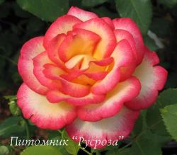 LEO FERRE (ADABITERSE) (Лео Феррэ)