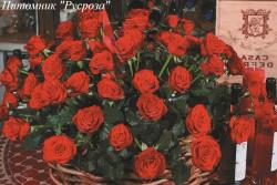 PRESTIGE ЧГ (Престиж)