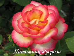 LEO FERRE (ADABITERSE) (Лео Феррэ)