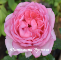 LA ROSE DE MOLINARD (Ля Роз до Молинар)